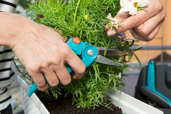 Gardena allesknipper Balkon