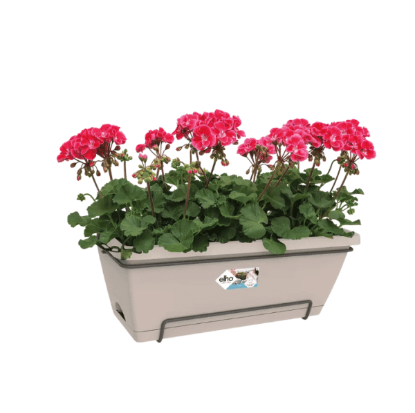 Elho Barcelona Balkonbak Taupe met plant