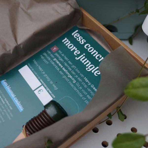 Marvy Green | Gift Box met Blumat