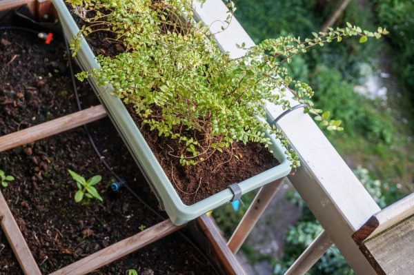 Laat je balkonbak vullen bij Marvy Green
