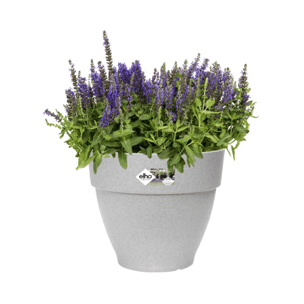 Plantenpot Elho Vibia Campana Sfeer