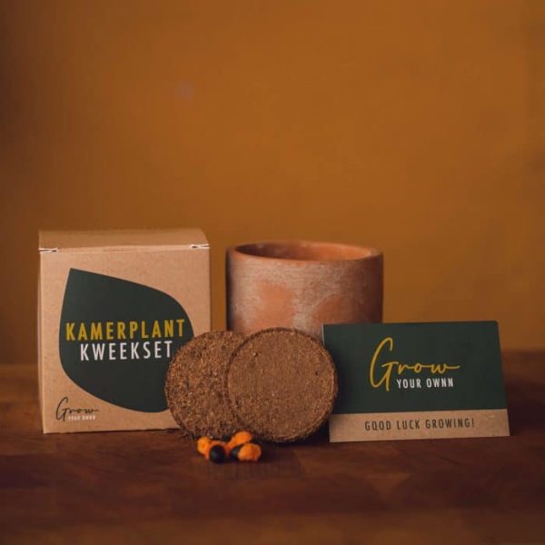 Kweekset kamerplanten Grow Your Ownn - Afbeelding 2
