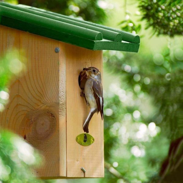 Nestkast Koolmees Vogelbescherming
