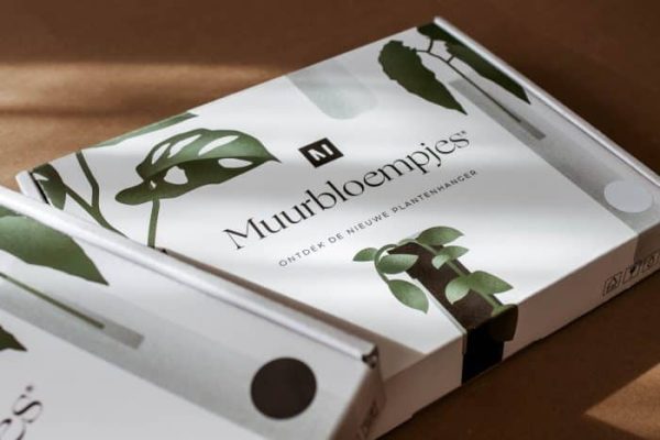 Magnetische plantenhanger voor stekjes Muurbloempjes Walleaf - Afbeelding 7