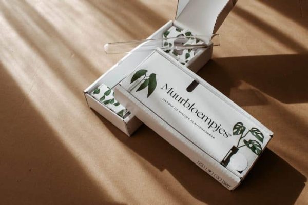 Magnetische plantenhanger voor stekjes Muurbloempjes Walleaf - Afbeelding 8