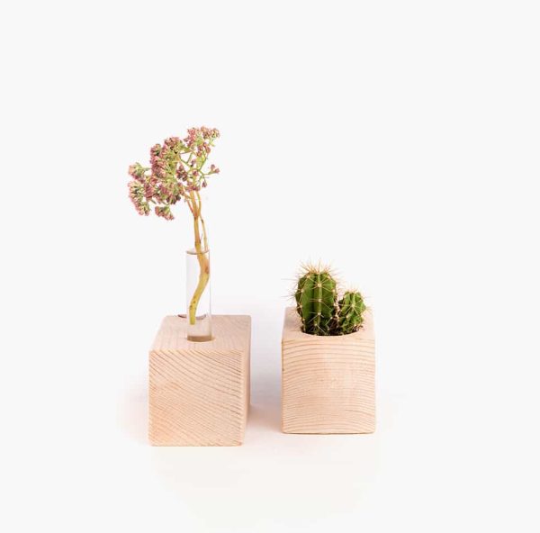 Plantenblokjes aan de muur 'The Wall Flower' Rescued - Afbeelding 2
