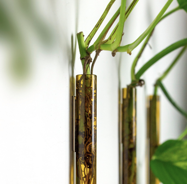 Magnetische plantenhanger voor stekjes Muurbloempjes Walleaf - Afbeelding 6