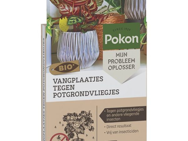 Rouwvliegjes Vangplaatje Pokon Bio (15 stuks)