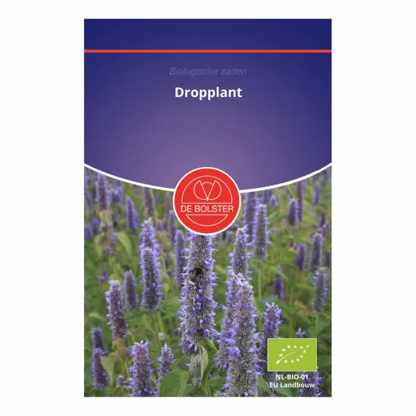 Biologische żaden van de Dropplant De Bolster