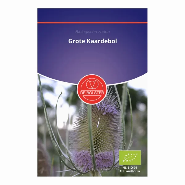 Grote kaardebol De Bolster Biologische zaden