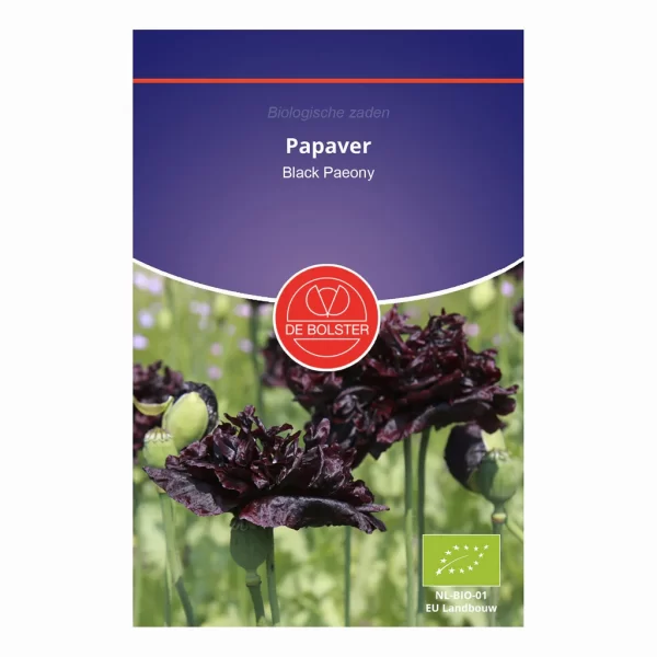 Papaver De Bloster