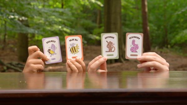Voorbeeld van verschillende kaarten van educatief spel Plantje Boom