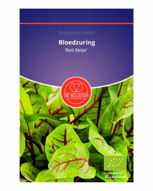 Bloedzuring 'Red Stripe' De Bolster