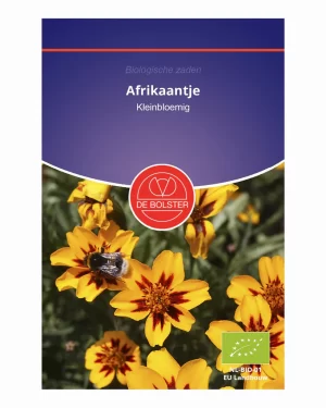 Afrikaantje 'kleinbloemig' De Bolster