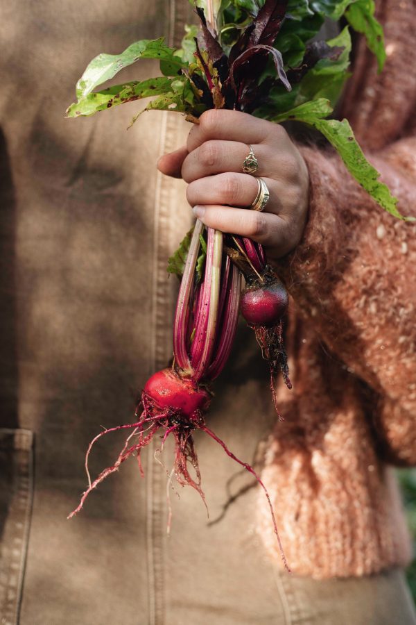 Mijn moestuin vol verwondering - Afbeelding 4