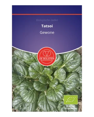 Tatsoi de Bolster