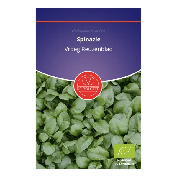 Spinazie 'Vroeg Reuzenblad' De Bolster