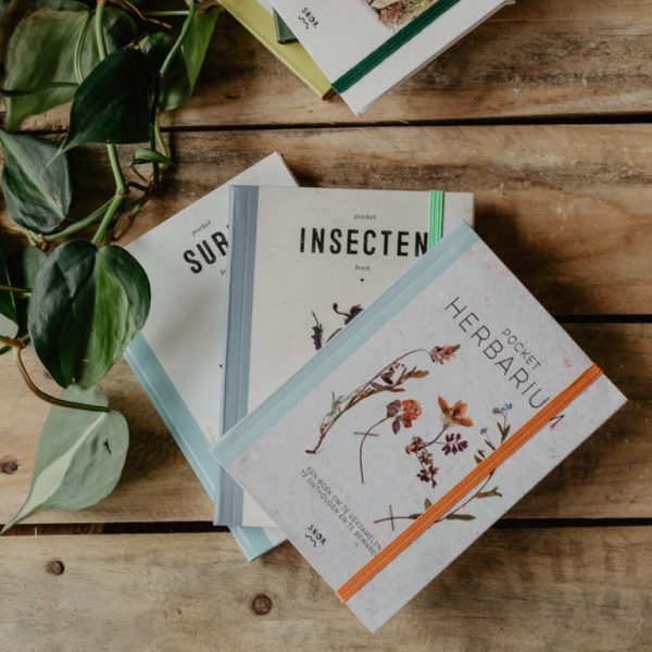 Pocket Herbarium | Uitgeverij Snor - Afbeelding 2